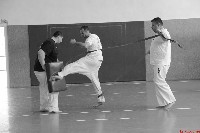 VII. Bódi „The Legend” Szeminárium a Seishin Sportegyesületben