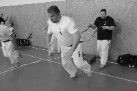 VII. Bódi „The Legend” Szeminárium a Seishin Sportegyesületben