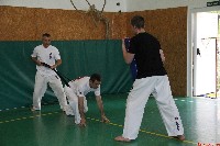 VII. Bódi „The Legend” Szeminárium a Seishin Sportegyesületben