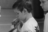 VII. Bódi „The Legend” Szeminárium a Seishin Sportegyesületben