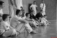 VII. Bódi „The Legend” Szeminárium a Seishin Sportegyesületben