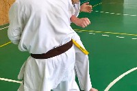 VII. Bódi „The Legend” Szeminárium a Seishin Sportegyesületben
