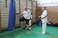 VII. Bódi „The Legend” Szeminárium a Seishin Sportegyesületben