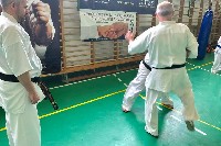 VII. Bódi „The Legend” Szeminárium a Seishin Sportegyesületben
