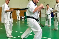 VII. Bódi „The Legend” Szeminárium a Seishin Sportegyesületben