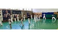 VII. Bódi „The Legend” Szeminárium a Seishin Sportegyesületben