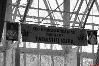 VII. Tadashii Kupa