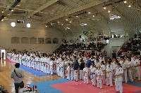 VII. Tadashii Kupa