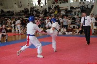 VII. Tadashii Kupa