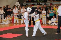 VII. Tadashii Kupa