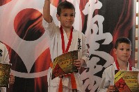 VII. Tadashii Kupa