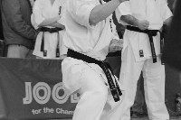 15th Domenica Cup