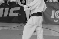 15th Domenica Cup
