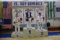 15th Domenica Cup