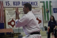 15th Domenica Cup