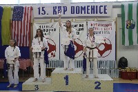 15th Domenica Cup