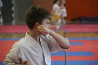 15th Domenica Cup