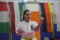 15th Domenica Cup