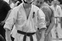 15th Domenica Cup
