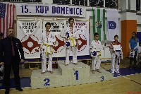 15th Domenica Cup