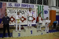 15th Domenica Cup