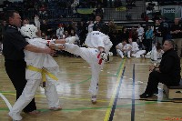 II. Kiskun Kupa