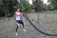 Seishin SE alapozás