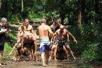 Seishin Spartan Ócsa Run
