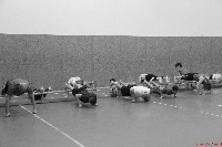 SESE cross training