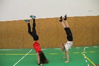 SESE cross training