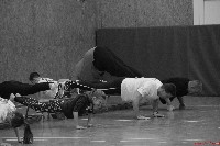 SESE cross training