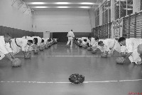 Shihan szülinapját ünnepeltük