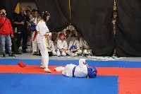 Knockdown Utánpótlás Magyar Bajnokság - XXI. Bushido Kupa 2018.