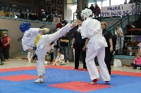 KYOKUSHIN KARATE KNOCK-DOWN DIÁKOLIMPIA