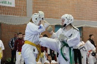KYOKUSHIN KARATE KNOCK-DOWN DIÁKOLIMPIA