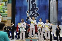 KYOKUSHIN KARATE KNOCK-DOWN DIÁKOLIMPIA