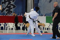 KYOKUSHIN KARATE KNOCK-DOWN DIÁKOLIMPIA