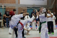 KYOKUSHIN KARATE KNOCK-DOWN DIÁKOLIMPIA