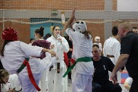 KYOKUSHIN KARATE KNOCK-DOWN DIÁKOLIMPIA