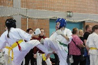 KYOKUSHIN KARATE KNOCK-DOWN DIÁKOLIMPIA