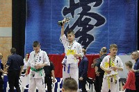 KYOKUSHIN KARATE KNOCK-DOWN DIÁKOLIMPIA