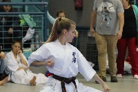 KYOKUSHIN KARATE KNOCK-DOWN DIÁKOLIMPIA