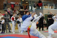 KYOKUSHIN KARATE KNOCK-DOWN DIÁKOLIMPIA