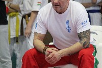 KYOKUSHIN KARATE KNOCK-DOWN DIÁKOLIMPIA
