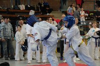 KYOKUSHIN KARATE KNOCK-DOWN DIÁKOLIMPIA
