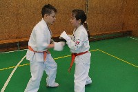 IV. OYAMA MEMORIAL KUMITE TRAINING