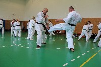 Shihan Bódi István IX. Küzdő Szemináriuma a Seishin Dojoban