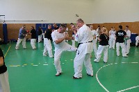 Shihan Bódi István IX. Küzdő Szemináriuma a Seishin Dojoban