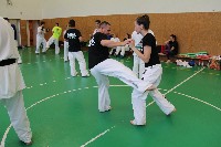 Shihan Bódi István IX. Küzdő Szemináriuma a Seishin Dojoban