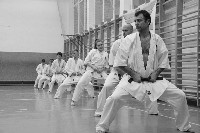 Kihon, kata
